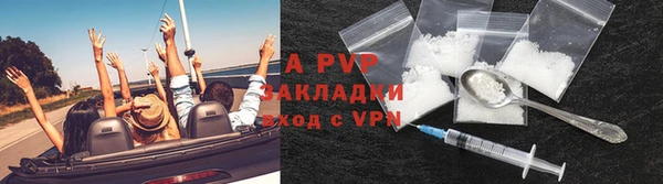 jwh Пересвет