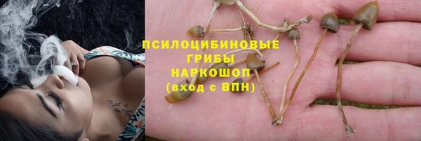 jwh Пересвет