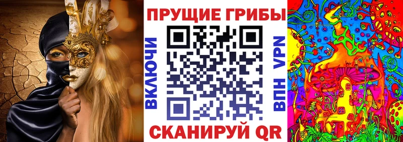 блэк спрут зеркало  Балашиха  Псилоцибиновые грибы Cubensis 