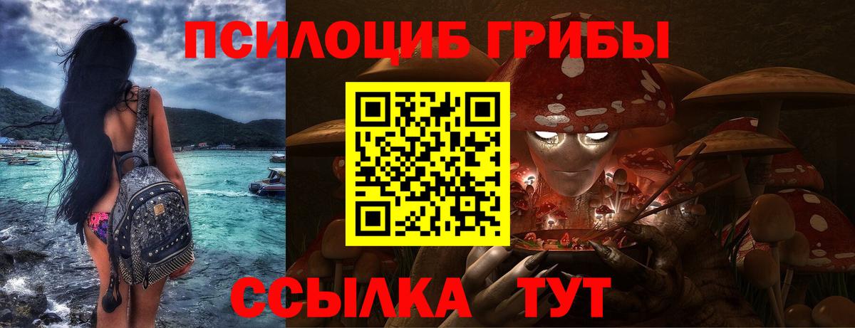 Галлюциногенные грибы Psilocybine cubensis  как найти   Балашиха  Вход с VPN 