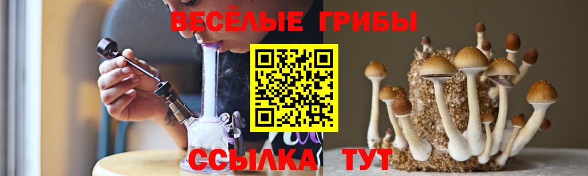 Псилоцибиновые грибы Cubensis Балашиха
